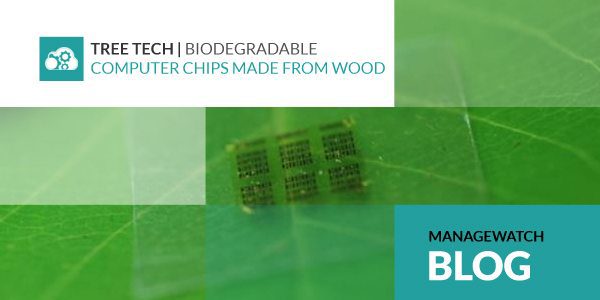 Tree Tech | Biodegradable Computer Chips Made From Wood